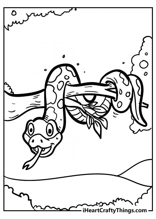 Coloring page for children featuring long spotted snake coiled around a tree branch