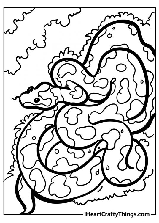 Coloring sheet for children featuring long snake with camouflage body pattern and some greenery behind it