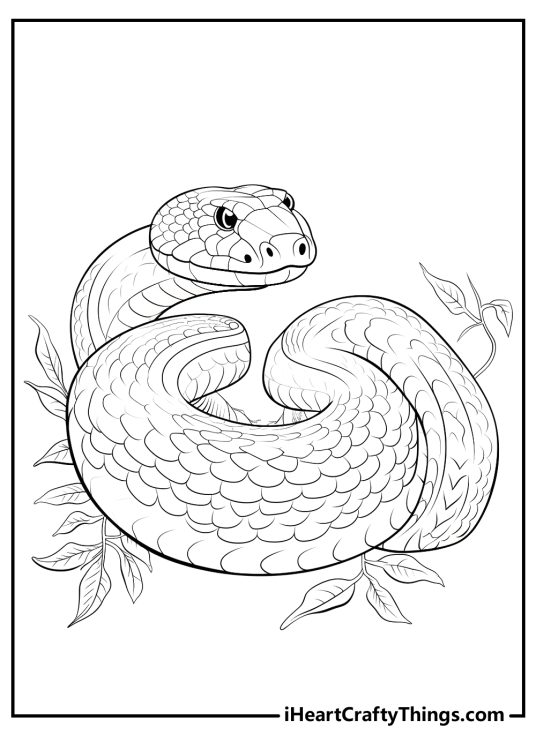 Free printable featuring snake with arrow-shaped head curled into a tight spiral