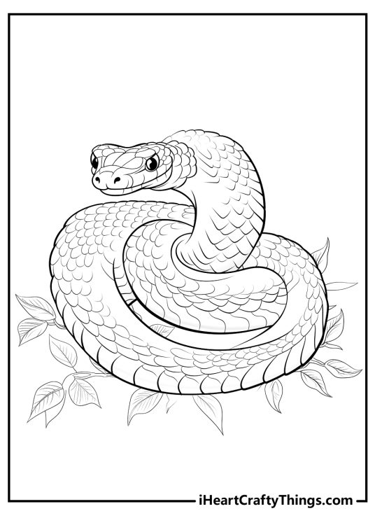 Coloring image of a realistic snake with small scales all over the body coiled around itself