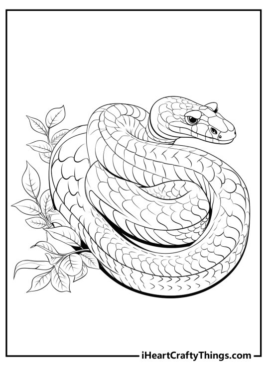 Printable poster depicting long snake coiled its lengthy body into a relaxed spiral as it rests