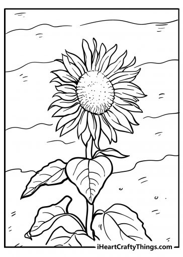 Sunflower Coloring Pages (100% Free Printables)