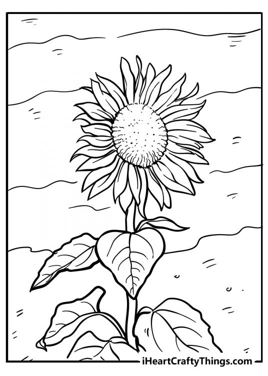 Free sunflower-themed coloring sheet for kids featuring a big and bold flower with wavy lines in the background
