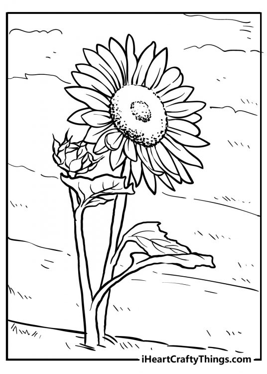 Coloring picture for children featuring sunflower with the background divided into segments