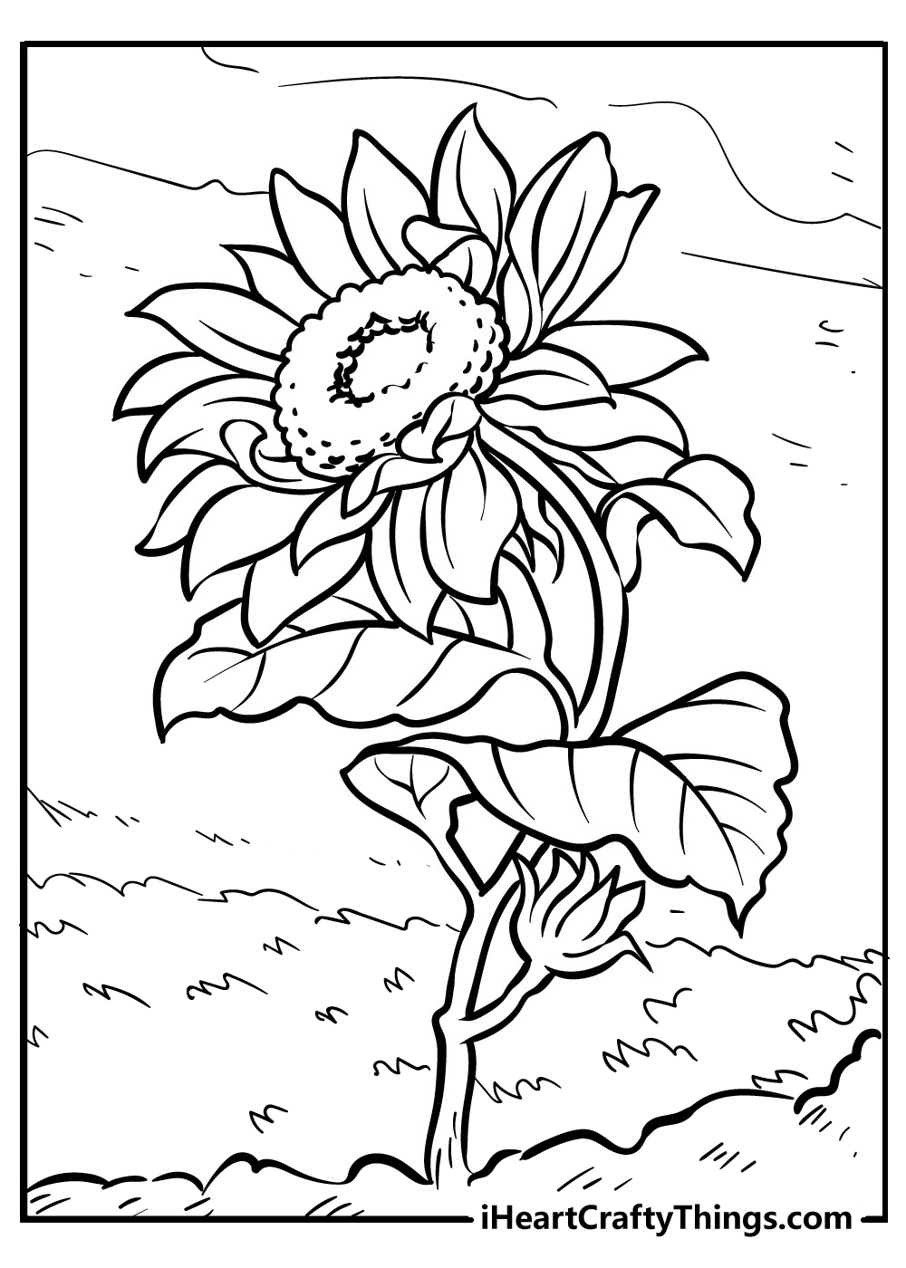 Sunflower Garden Coloring Page