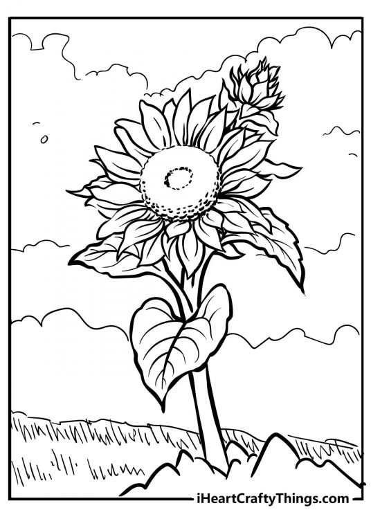 Free coloring page for kids presenting a single sunflower growing outdoors in the fields