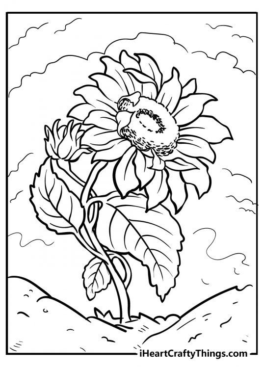 Detailed drawing for children of a rich sunflower sligthly curved to the right side