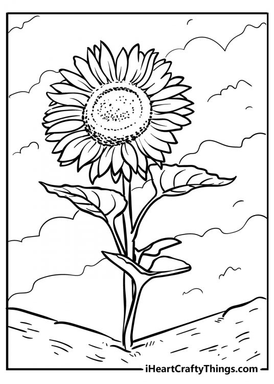 Free coloring printable for children depicting fully-blooming sunflower with cloudy background
