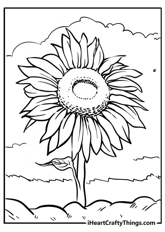 Sunflower-themed coloring image for kids presenting single beautiful blooming flower