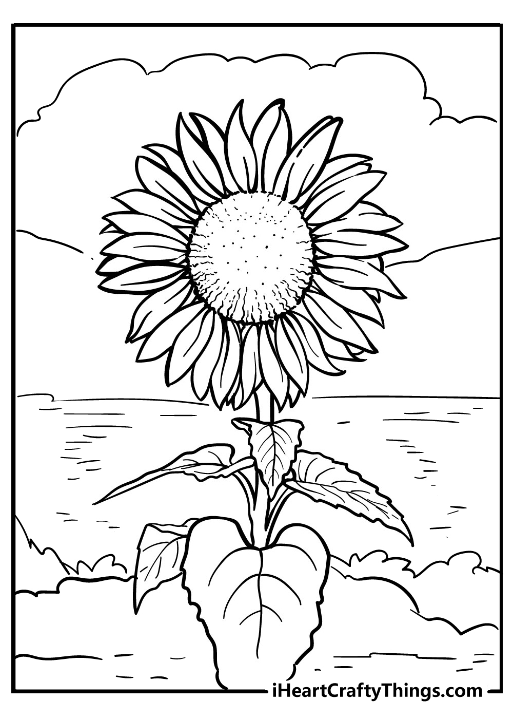sunflower coloring pages free printable