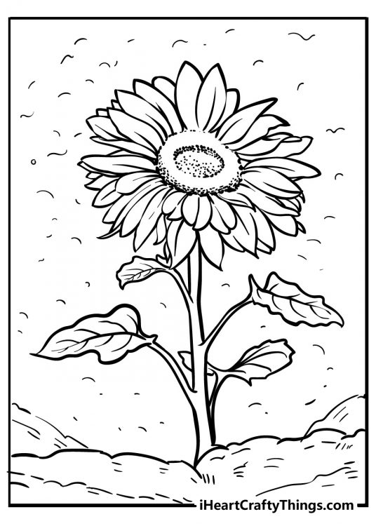 Free coloring page for adults depicting one beautiful sunflower with great smaller details