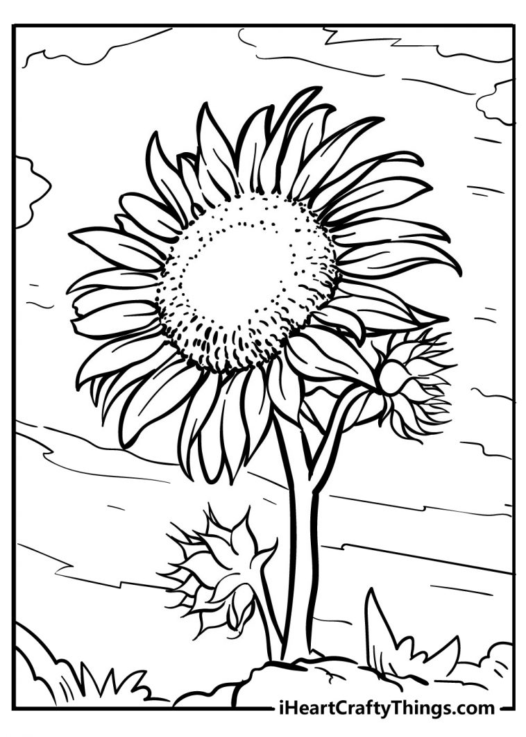 Sunflower Coloring Pages (100% Free Printables)