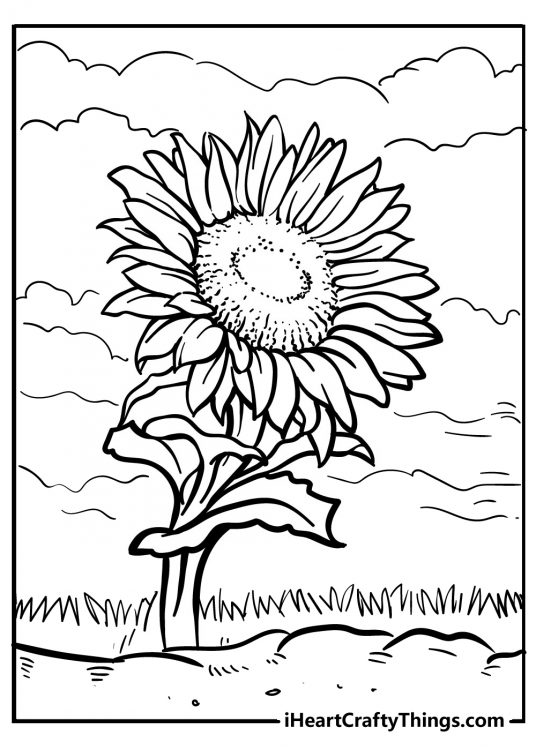 Coloring picture featuring outdoors scene with a sunflower surrounded by grass and clouds