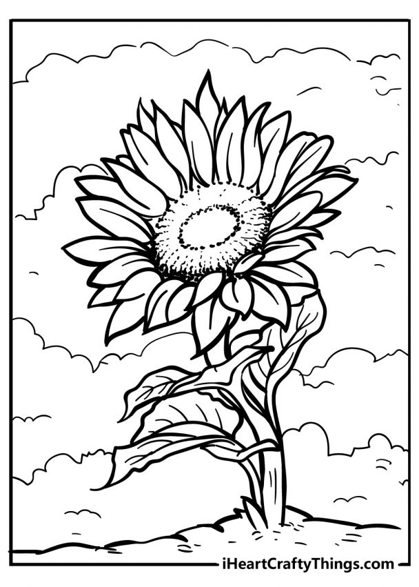 Sunflower Coloring Pages (100% Free Printables)