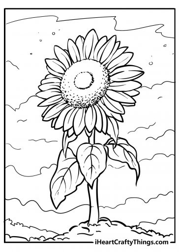 Sunflower Coloring Pages (100% Free Printables)