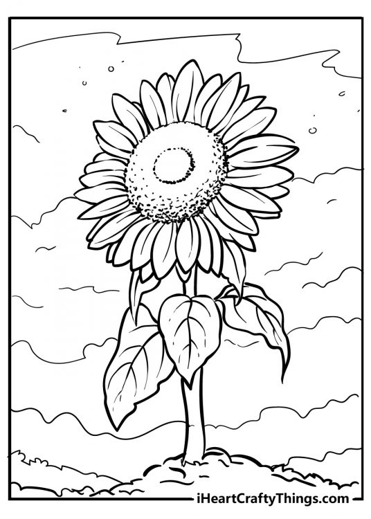 Printable coloring sheet for adults presenting beautiful sunflower growing outside