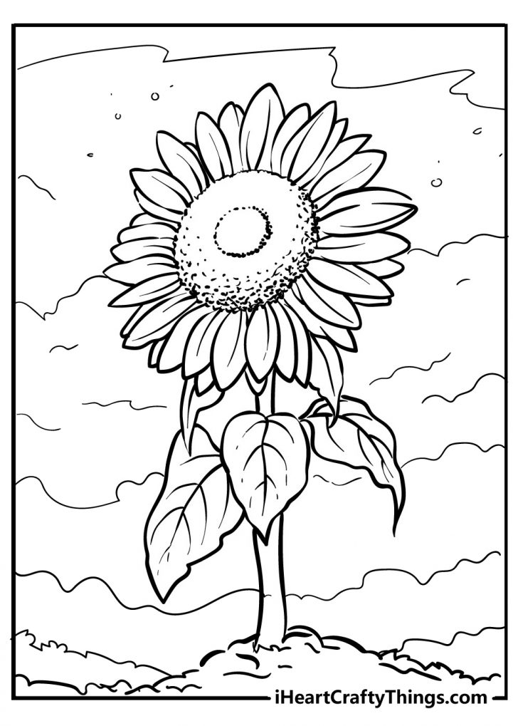 Sunflower Coloring Pages (100% Free Printables)