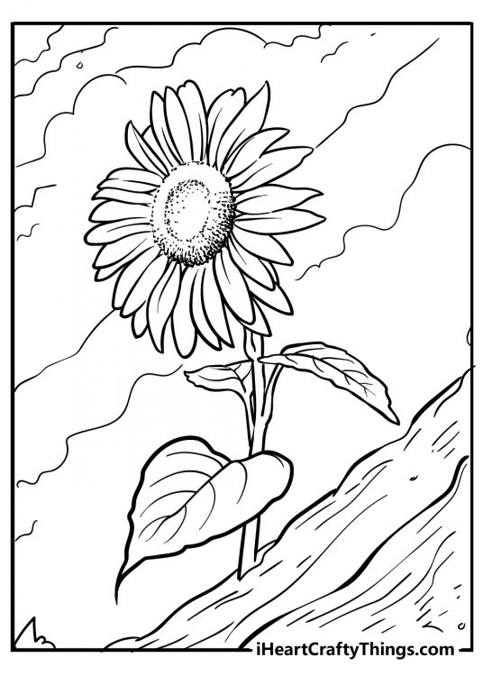Detailed printable coloring drawing depicting a sunflower sprouting on a steep hill