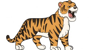 how to draw tiger image