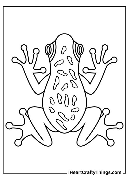 Detailed coloring picture featuring a top down view of a poisonous tree frog with a patterned body