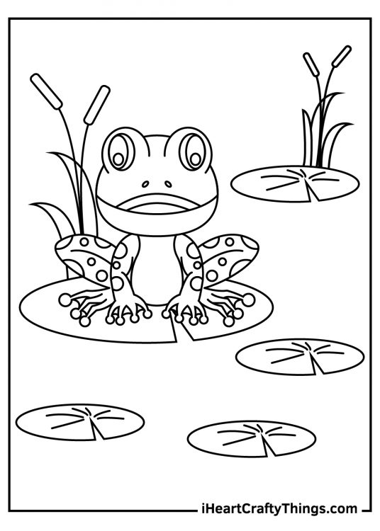 Free coloring image for kids of a cute patterned frog chilling on a lily pad in a pond
