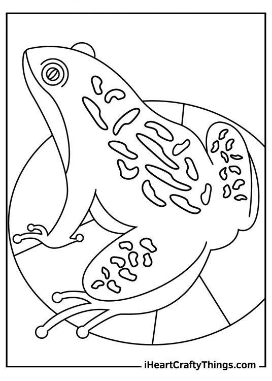Free printable image featuring a top down view of a realistic patterned frog sitting on a lilypad