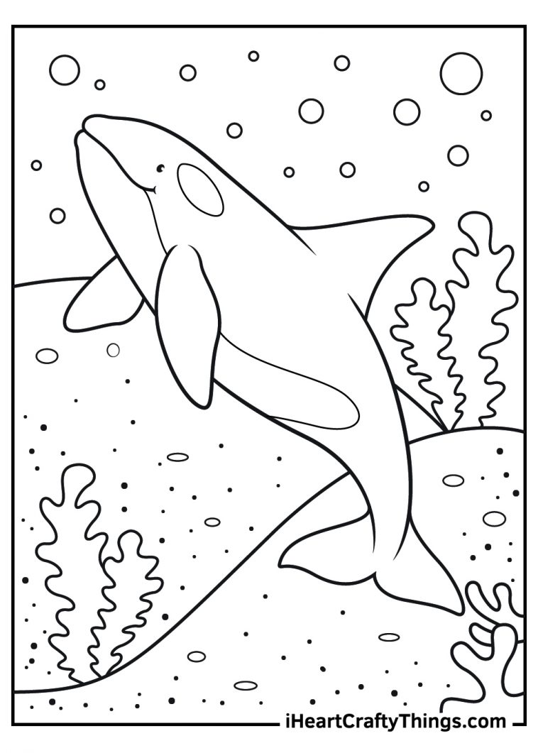 Free Printable Killer Whale Coloring Pages For Kids Animal Place - Riset