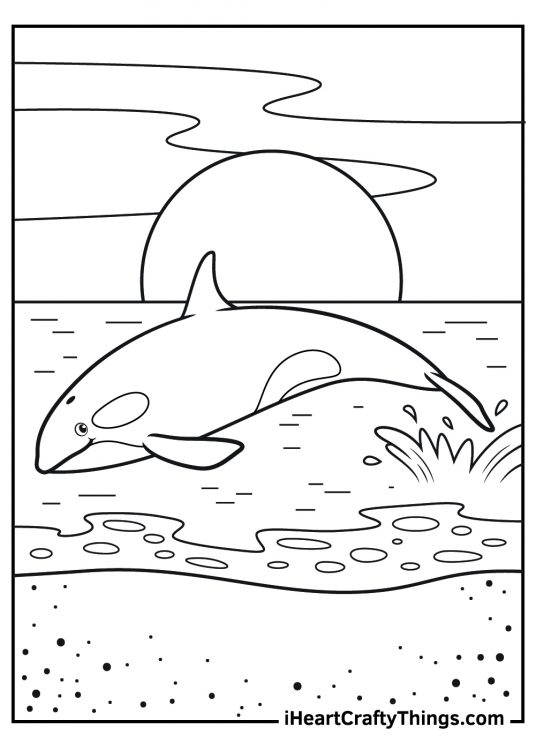 Killer whale-themed coloring page depicting whale leaping from the water in front of a beautiful sunset