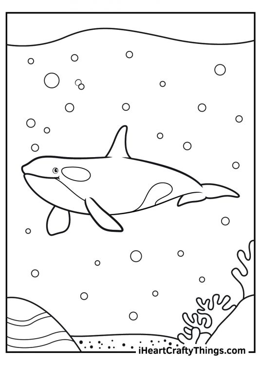 Printable coloring sheet featuring calm-looking killer whale exploring the ocean floor
