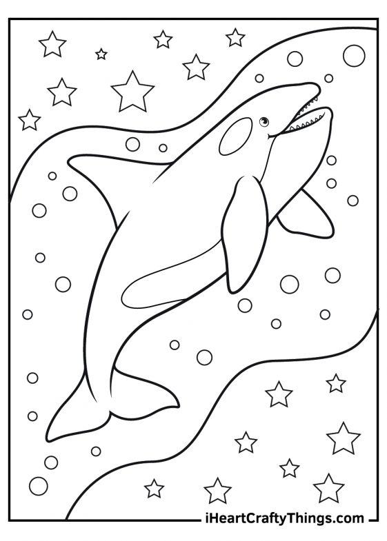 Killer Whale Coloring Pages (Updated 2022)