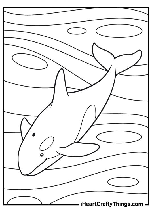 Killer Whale Coloring Pages (100% Free Printables)