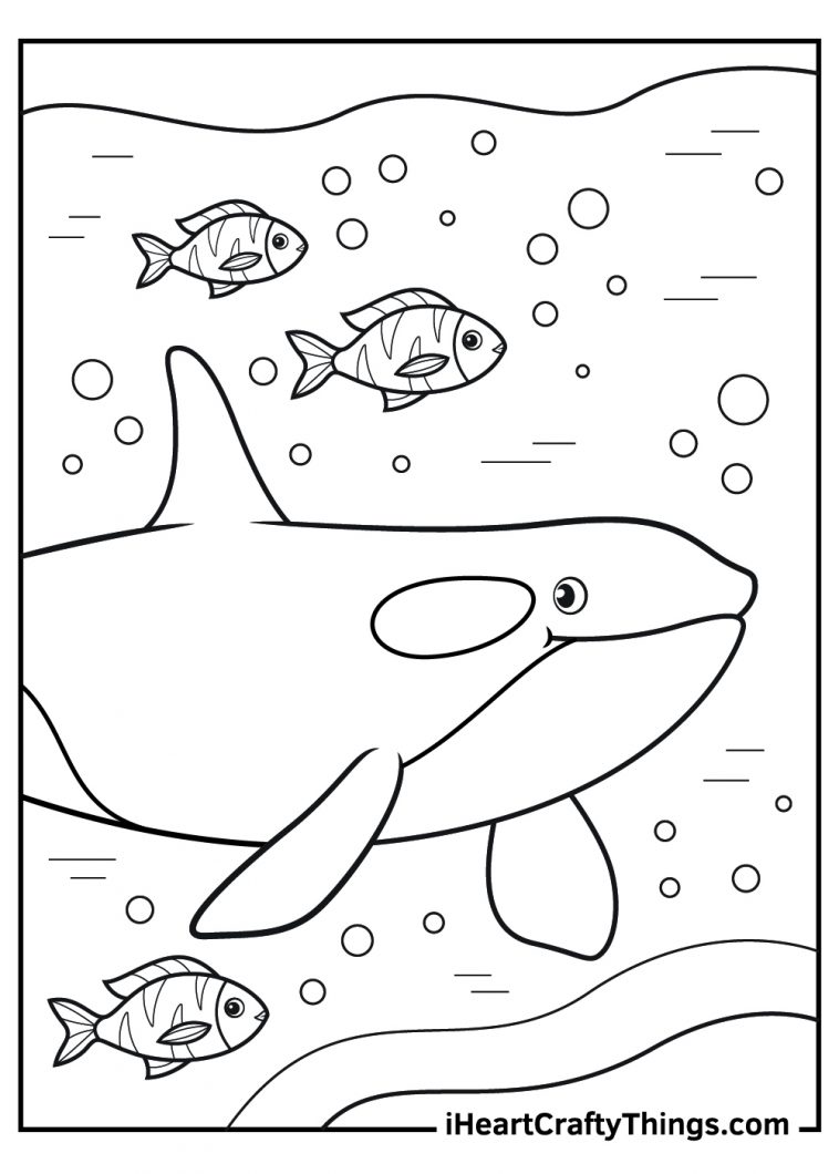 15 Killer Whale Coloring Pages (100% Free Printables)