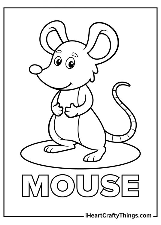 Image of a mouse featured on a spotlight and word MOUSE written in bold letters underneath