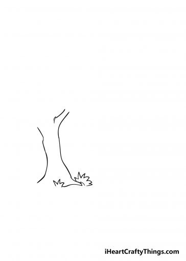 Forest Drawing - How To Draw A Forest Step By Step