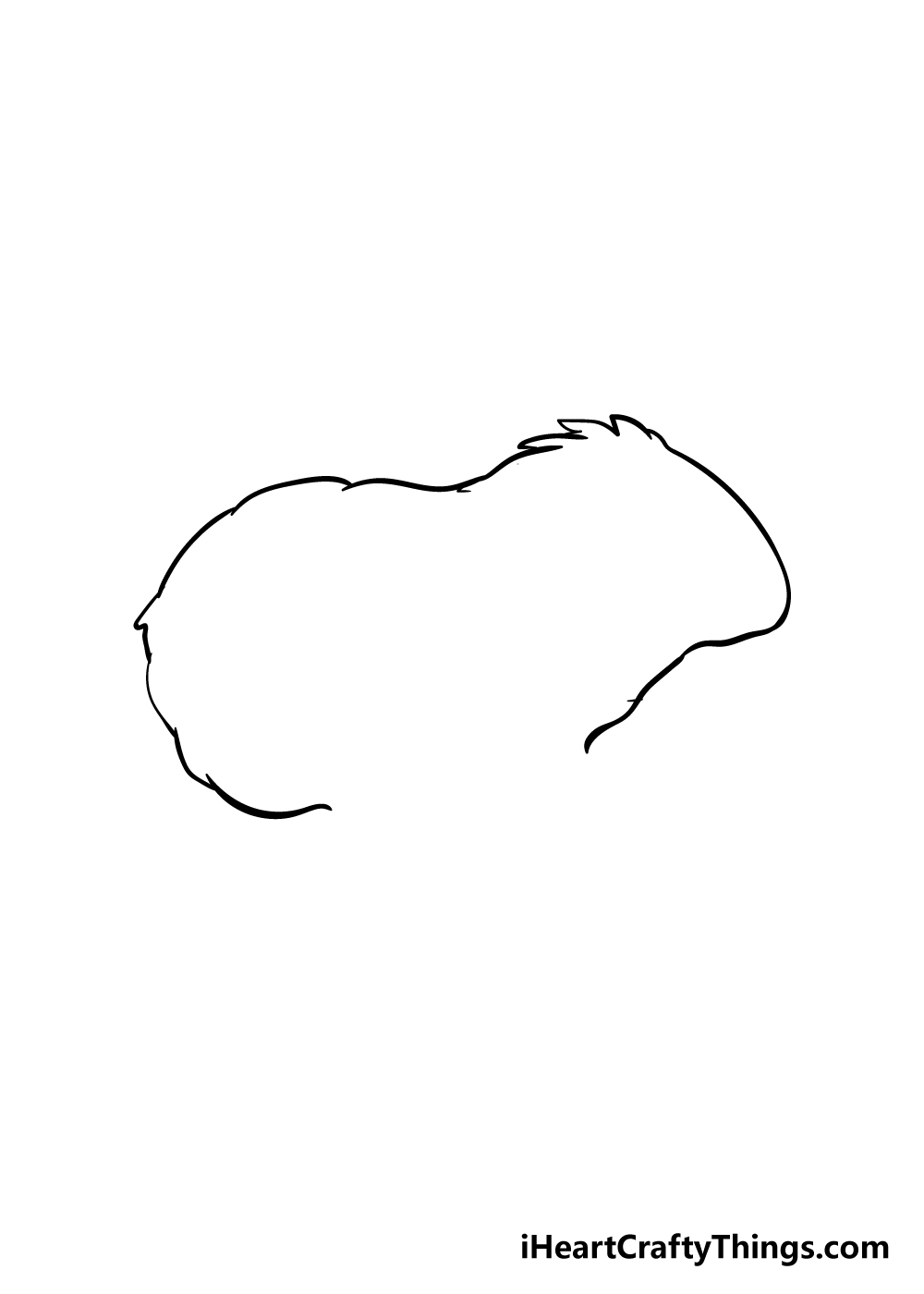 guinea pig drawing step 1