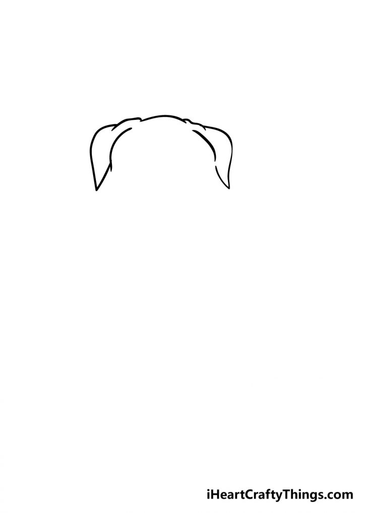 Pitbull Drawing How To Draw A Pitbull Step By Step