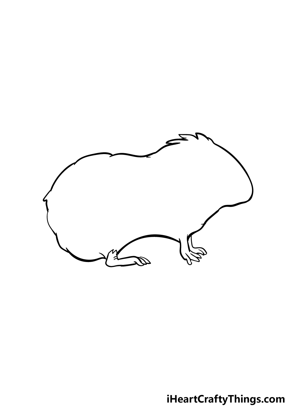 guinea pig drawing step 2