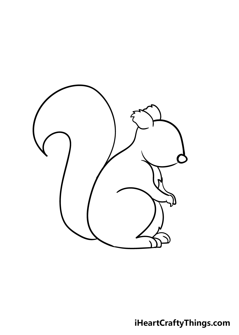 squirrel drawing step 4