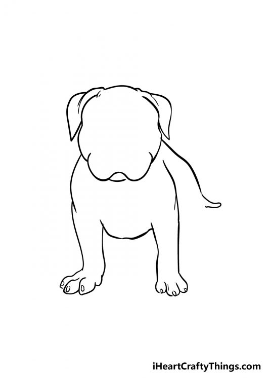 Pitbull Drawing - How To Draw A Pitbull Step By Step