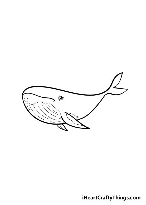 How To Draw A Whale Step By Step: Easy Whale Drawing For Kids