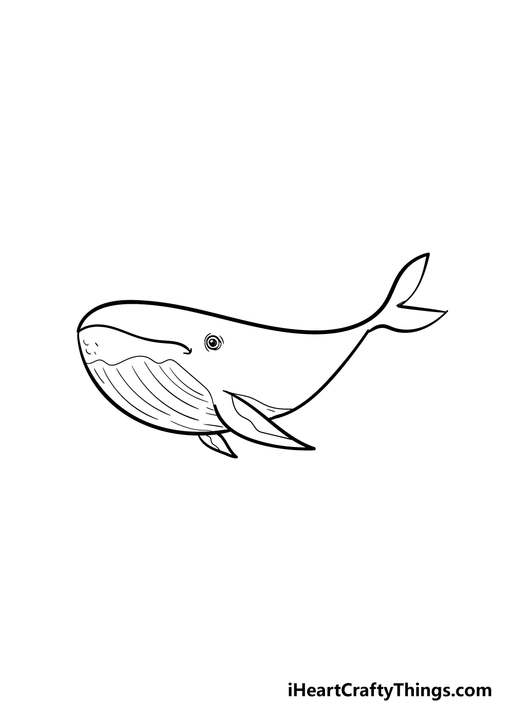 whale drawing step 5