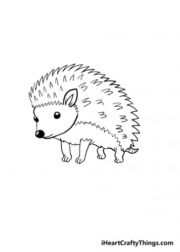 Hedgehog Drawing - How To Draw A Hedgehog Step By Step