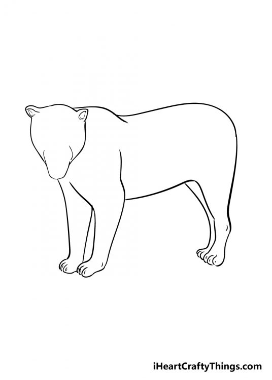 Jaguar Drawing - How To Draw A Jaguar Step By Step