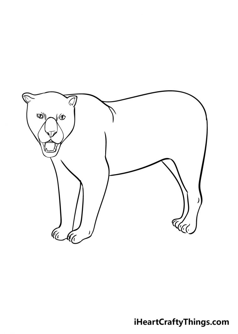 Jaguar Drawing - How To Draw A Jaguar Step By Step