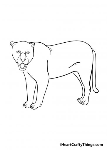 Jaguar Drawing - How To Draw A Jaguar Step By Step