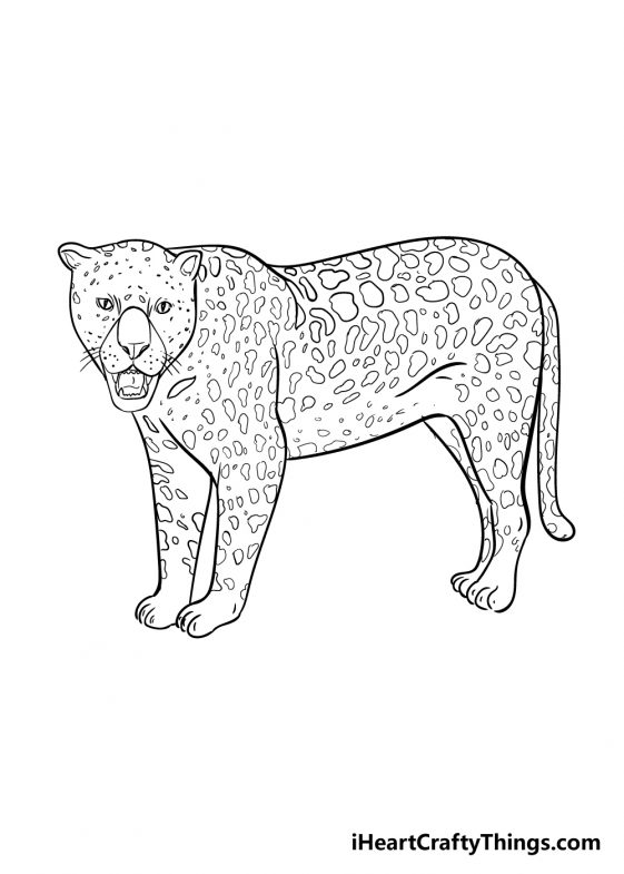 Jaguar Drawing - How To Draw A Jaguar Step By Step
