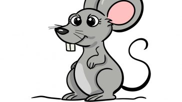 how to draw mouse image