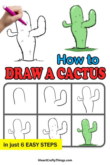 Cactus Drawing - How To Draw A Cactus Step By Step