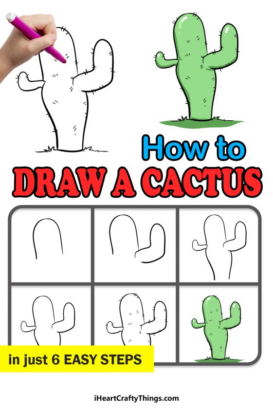 Cactus Drawing - How To Draw A Cactus Step By Step