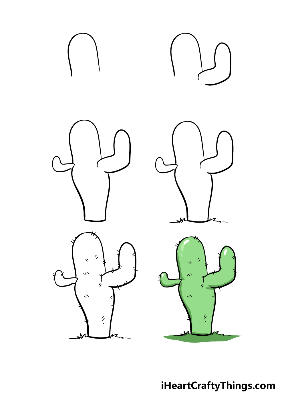 how to draw cactus in 6 easy steps